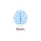 Isolated colorful vector brains. Medical logo.Scientifical logotype. Neurobiology emblem. Intelligence image. Human