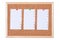 Isolated Corkboard with Blank Paper Notes