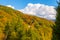 Isolated country house with trees with autumn colors in Italy