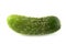 Isolated cucumber. One bended curved cucumber on white background with clipping path