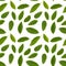 Isolated custard apple leaves seamless pattern in white background