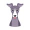 Isolated cute avatar of a whippet dog breed Vector