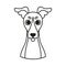 Isolated cute avatar of a whippet dog breed Vector