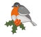 Isolated cute bullfinch, berries and holly leaves. Winter bird. Vector illustration of drawings on a white background