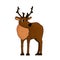 Isolated Cute hand drawn cartoon deer or caribou with antlers on white background