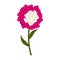 Isolated cute verbena flower icon