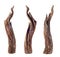 Isolated Decorative Wooden Branches