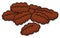 Isolated Delicious Pecan Nuts over White Background, Vector Illustration