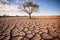 Isolated died tree in drought land, dry soil ground desert area with cracked mud in arid landscape. Shortage of water, climate