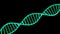 Isolated DNA Strands, illustration. DNA spirals Isolated on black Background. Genetics, science, genome, medicine, biology