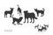 Isolated dogs group silhouette. Wild animals scene. Urban panorama with puppy crowd. Street pets. Black canine print