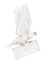 Isolated dove carrying light envelope