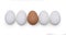 Isolated eggs on white background