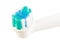 Isolated Electrical Toothbrush Head