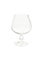Isolated empty cognac glass, brandy snifter