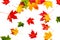 Isolated Falling autumn leaves. Abstract fall pattern. Flying M
