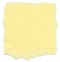 Isolated Fiber Paper Texture - Yellow Cream XXXXL