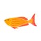 Isolated fish illustration. Set of freshwater aquarium cartoon fishes.