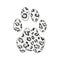 Isolated footprint of snow leopard irbis ounce with skin print on white background.