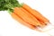 Isolated Fresh Bunch Of Carrots Zoomed In