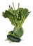 Isolated fresh green vegetables are displayed in antique pitcher as a bouquet. Arrangement includes romaine lettuce asparagus cucu