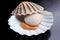 Isolated Fresh raw scallop - seafood