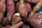 Isolated fresh sweet potatoes Ipomoea batatas Is a plant that utilizes the root