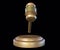Isolated gavel in the black background