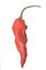 Isolated Ghost Pepper