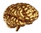 Isolated Golden Brain, Half Turn View, 3D Illustration