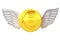 Isolated golden Euro coin with angelic wings transport on white