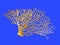 Isolated golden image of coral branches