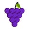 Isolated grapes icon