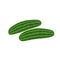 Isolated green cucumbers vegetable