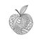 Isolated hand drawn black outline apple on white background. Ornament of curve lines.