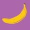 Isolated hand drawn vector banana