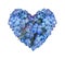 Isolated Hand drawn watercolor painting heart from Many blue violet flowers