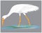 Isolated heron bird  vector design