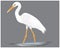 Isolated heron bird  vector design