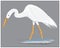 Isolated heron bird  vector design