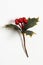 Isolated holly berry with leaves. Plastic, artificial Ilex berries on sprig.