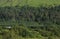 Isolated house amongst trees in forest at foot of mountain, rural Ireland