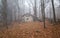 Isolated house in the beeches forest.