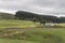 Isolated house in green hilly countryside , near Waihi, New Zealand