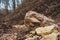 Isolated huge piece of rock in the bottom of ravine in early spring wild forest