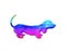 Isolated illustration of a colorful dachshund dog on a white background