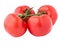 Isolated image of branch of ripe tomatoes