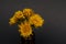 Isolated image of bunch of yellow dandelion flowers on small amber glass essential oil bottle on black background with copy space