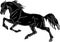 Isolated image, drawing, black silhouette horse, galloping horse on white background