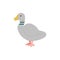 Isolated image of a gray duck on a white background